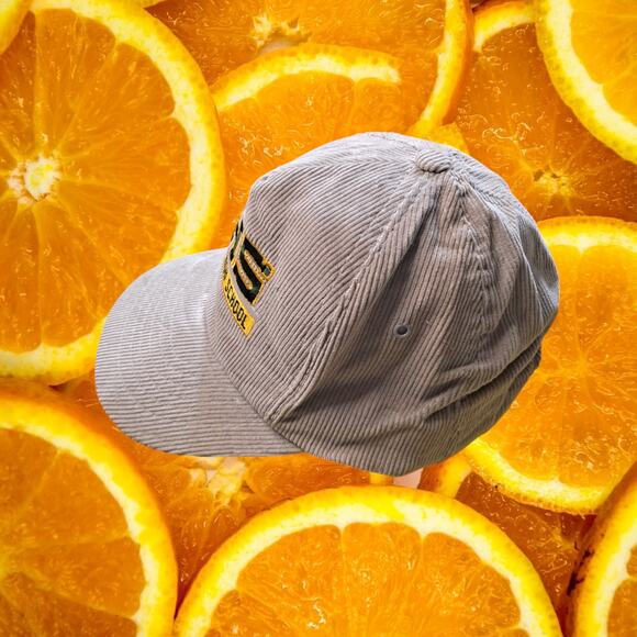 Audubon High‎ School AHS Corduroy Snapback Adjustable Hat Cap - Picture 2 of 6